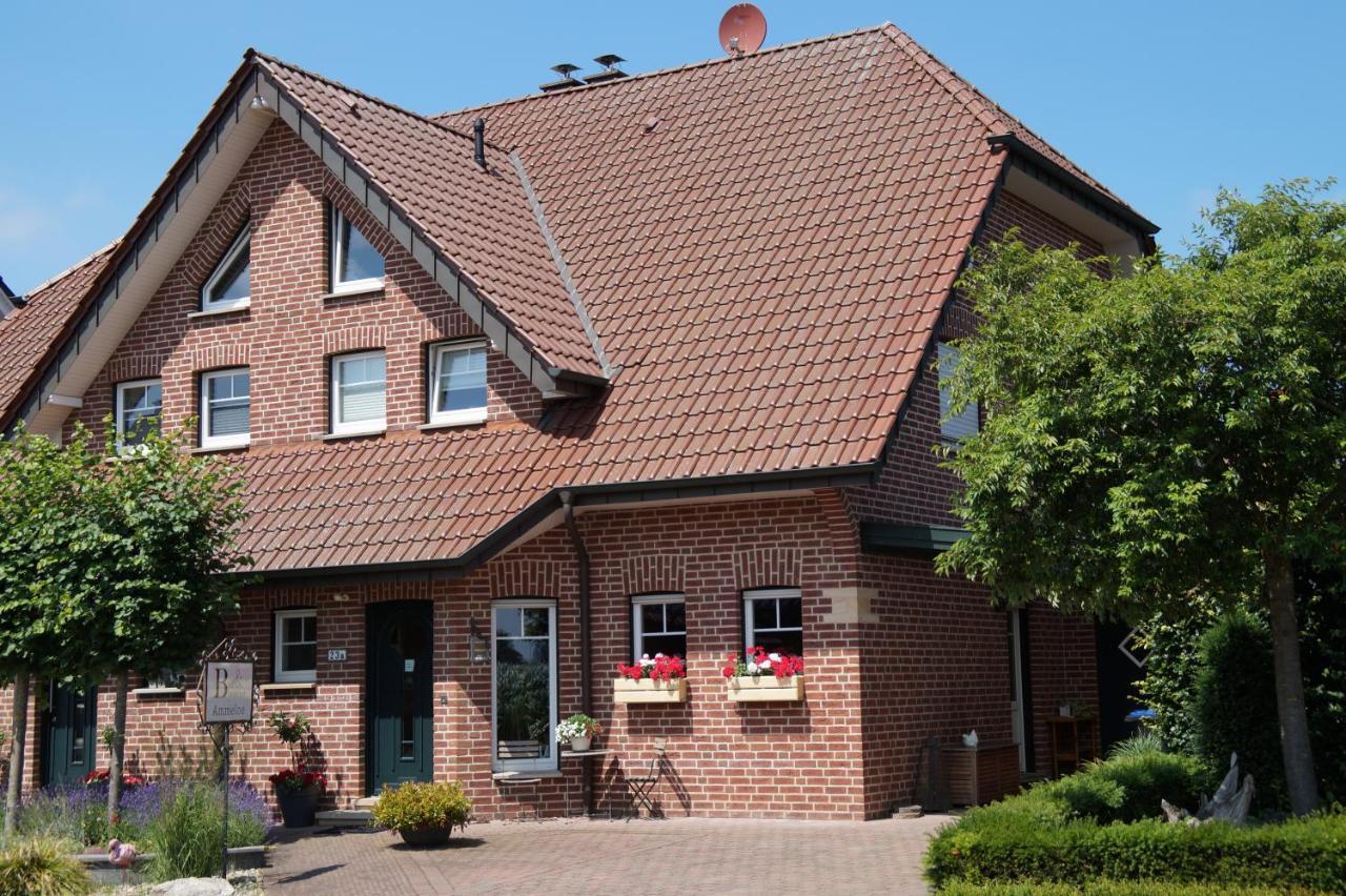 Bed And Breakfast Ammeloe Vreden Εξωτερικό φωτογραφία